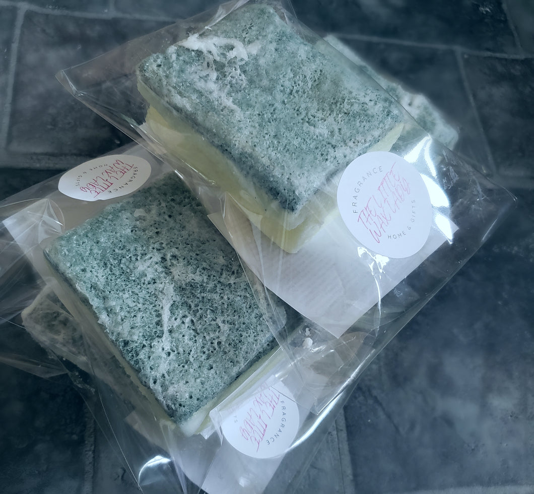 Home freshen up sponges x2
